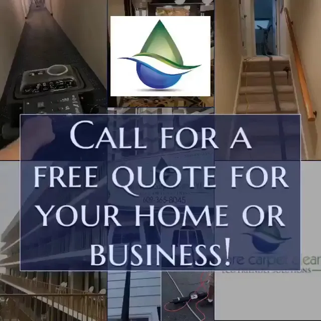 Offshore Carpet Cleaning and Janitorial Services photo 3