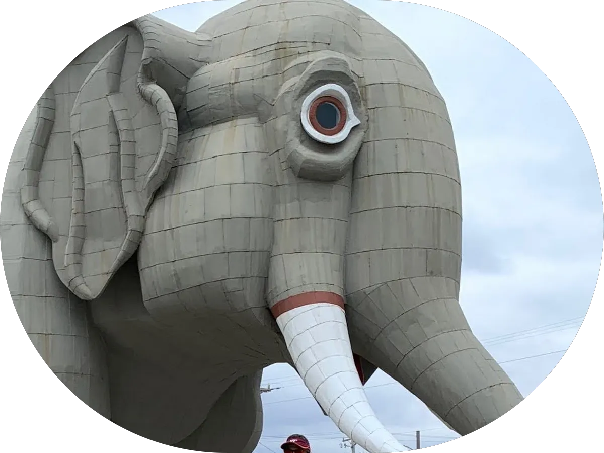 Olivia's Barber Shop photo 5