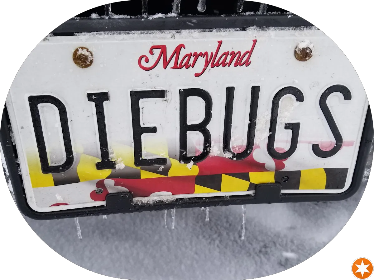 OMG Marketing photo 2