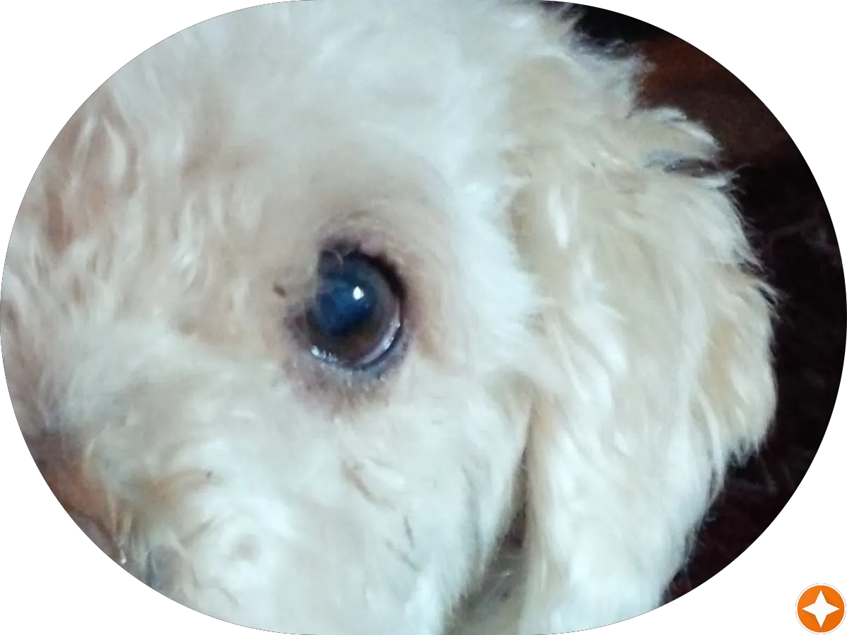 One Abstract Services