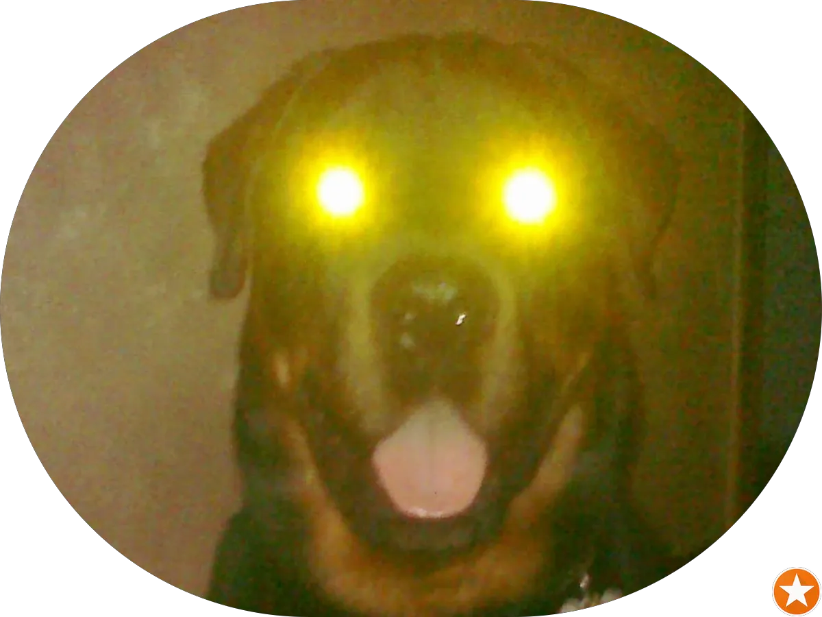 One Stop (your local store) photo 4