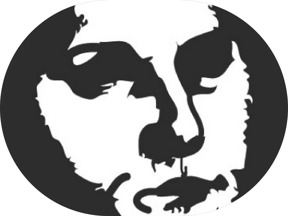 Optique Boutique photo 3