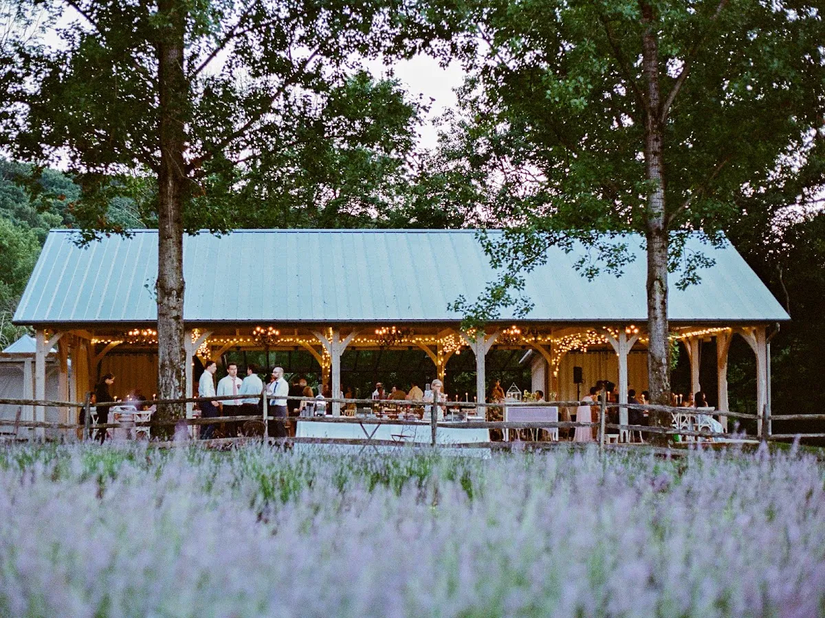 Orchard View Lavender Farm