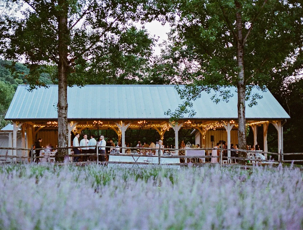 Orchard View Lavender Farm photo 2