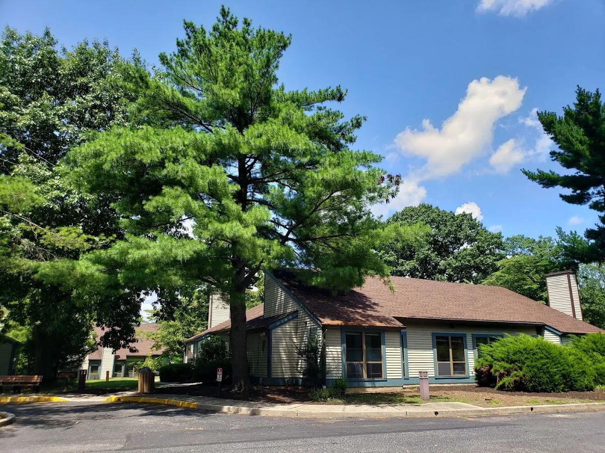 Origin Chiropractic and Acupuncture photo 5