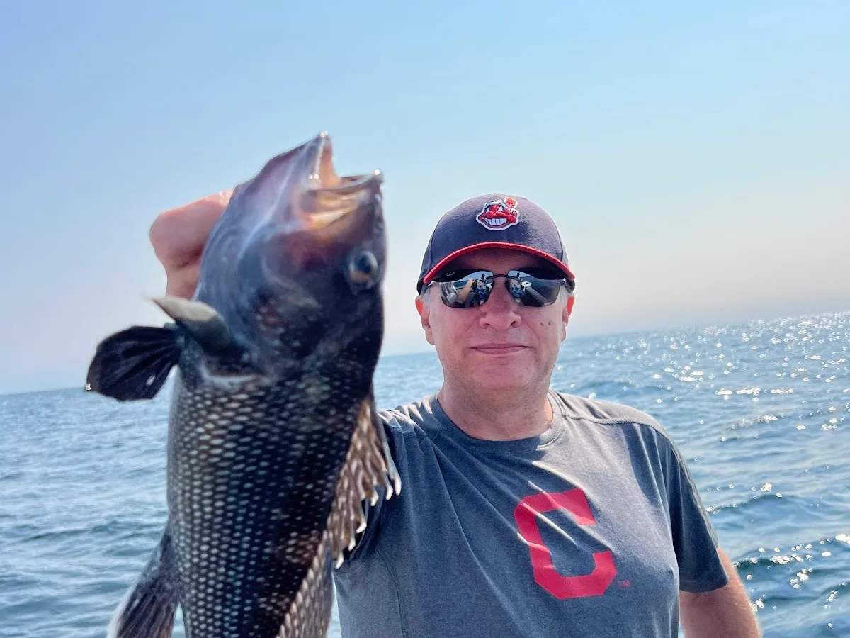 Osprey Fishing photo 5