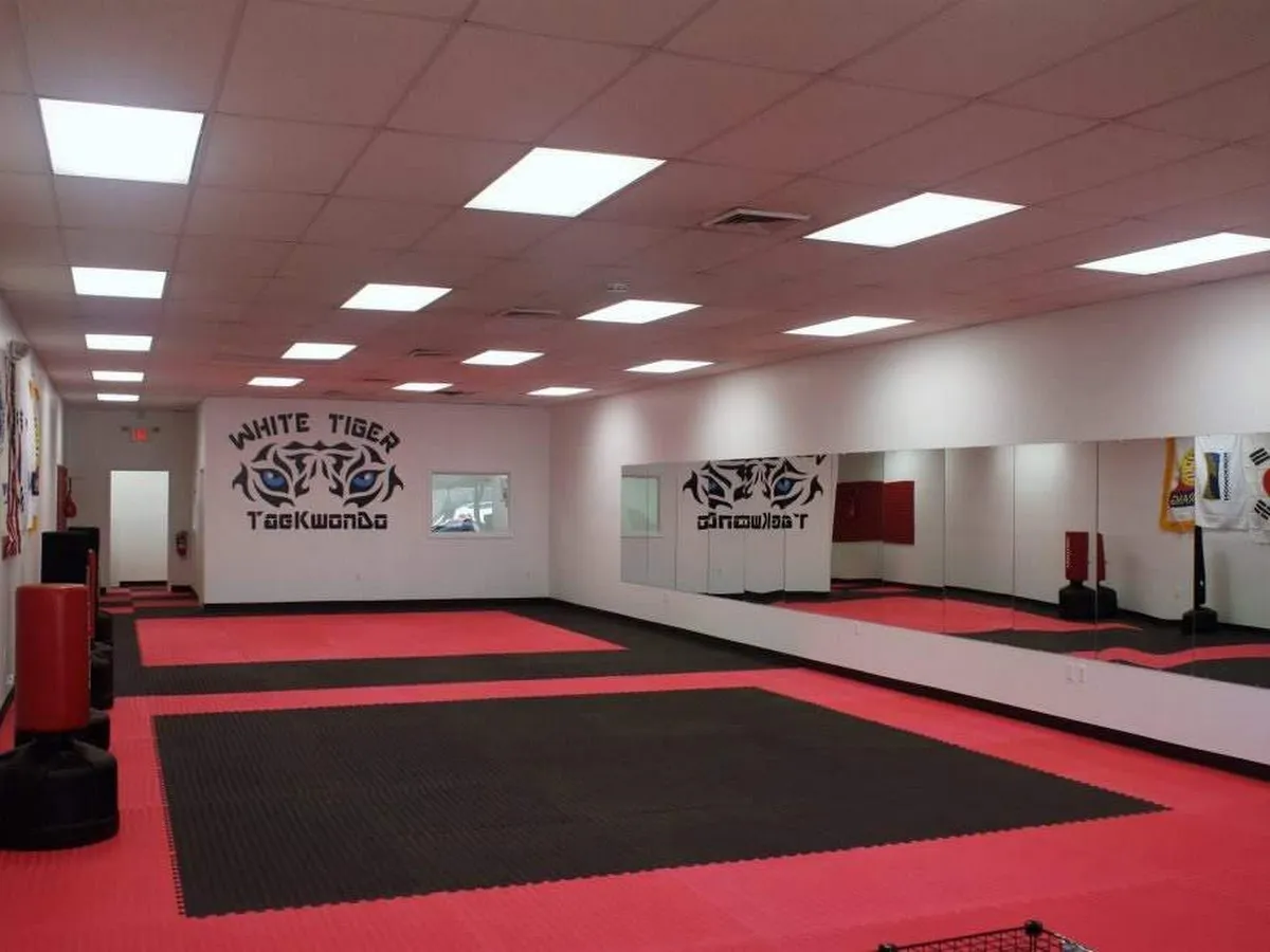 Ott’s Taekwon-Do photo 5