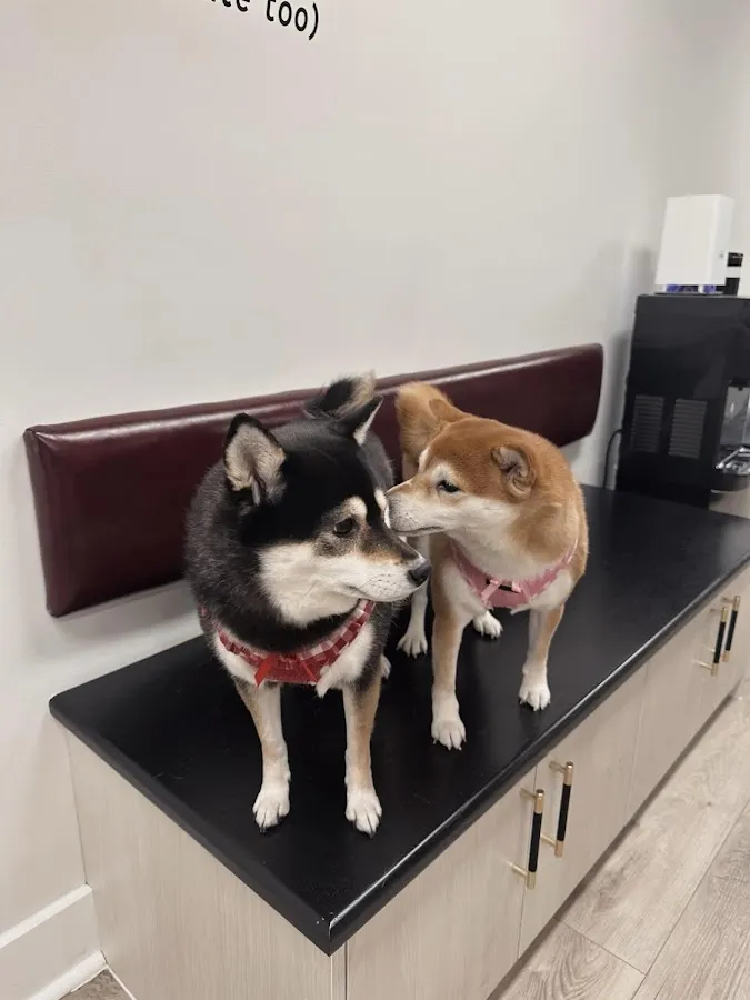 Overpeck Creek Animal Hospital photo 2