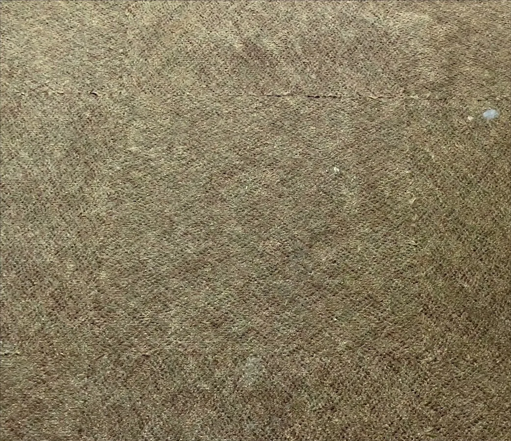 Oxi Fresh Carpet Cleaning photo 2