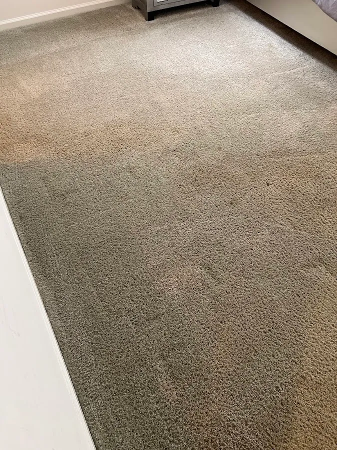Oxi Fresh Carpet Cleaning photo 2