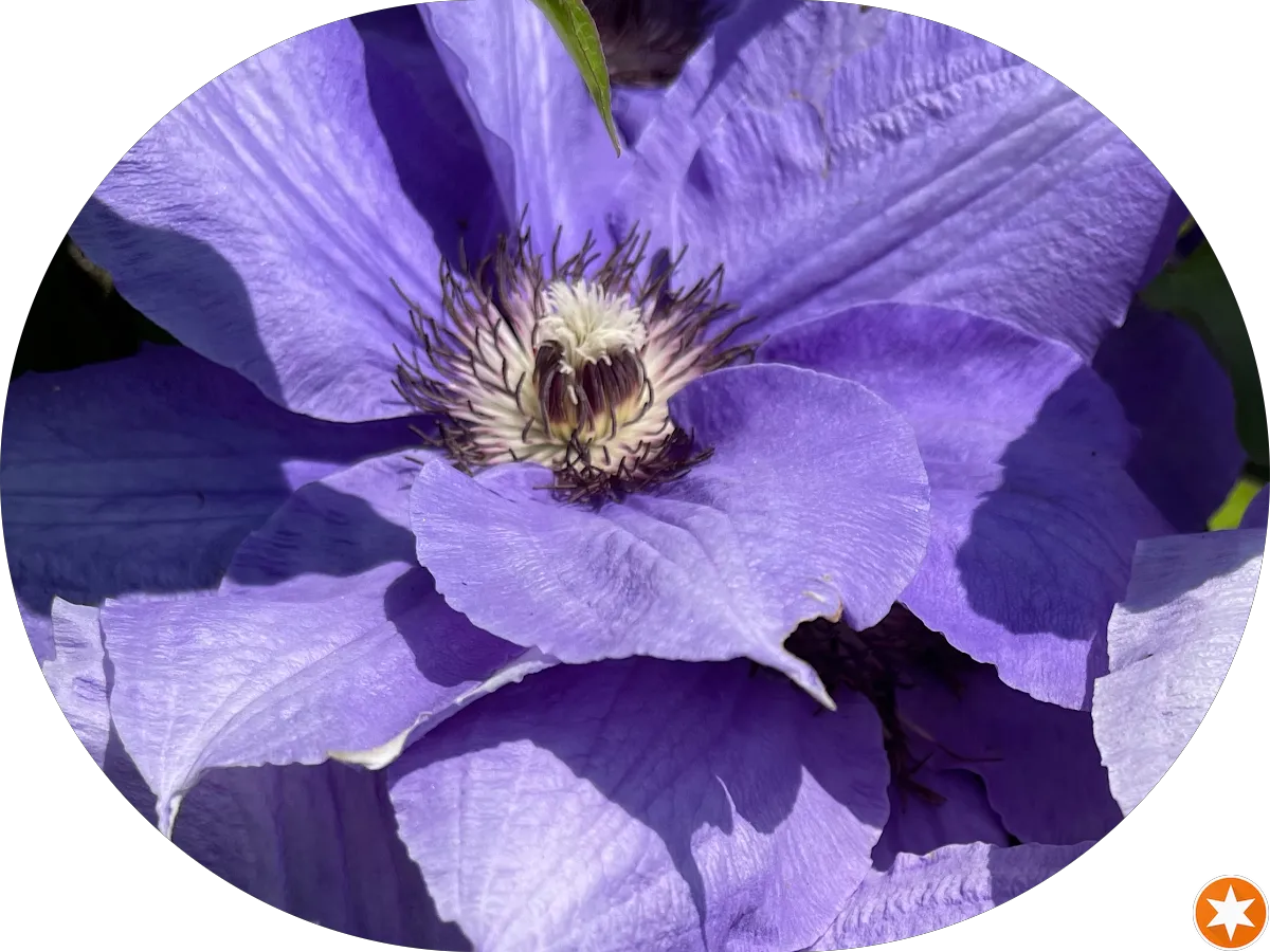 PACC Car Park 10 photo 3