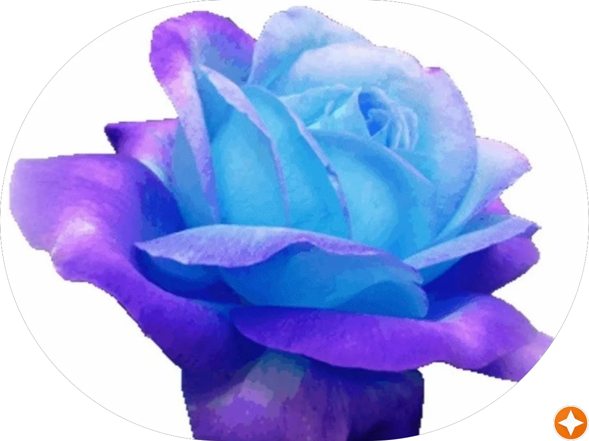 Painted Cottage Cafe photo 5