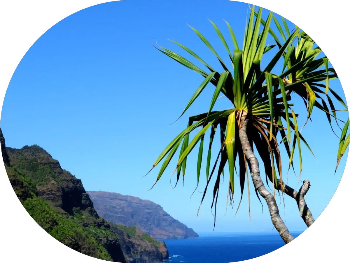 Paints By Sky, LLC photo 4