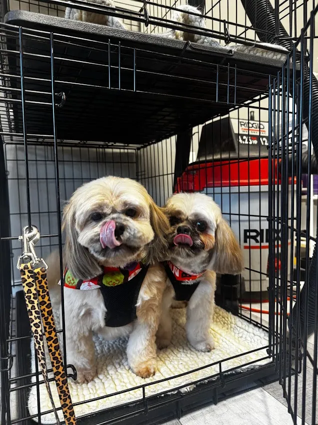 Pampered Paws Pet Styling LLC