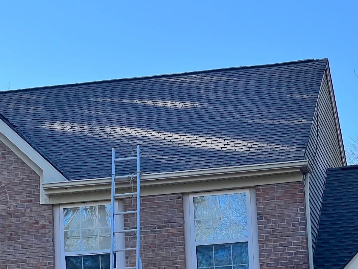 Panda Exteriors photo 3