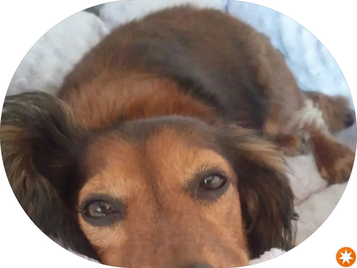 Paradise Island Spa photo 4