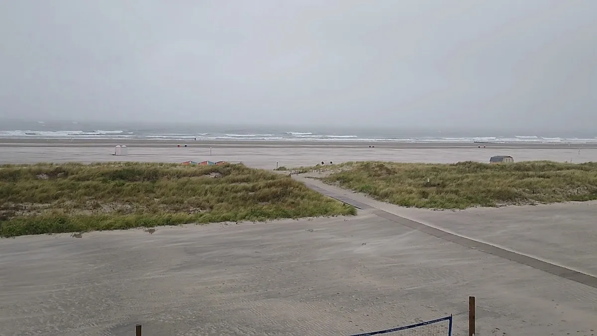 Paradise Ocean Resort photo 3