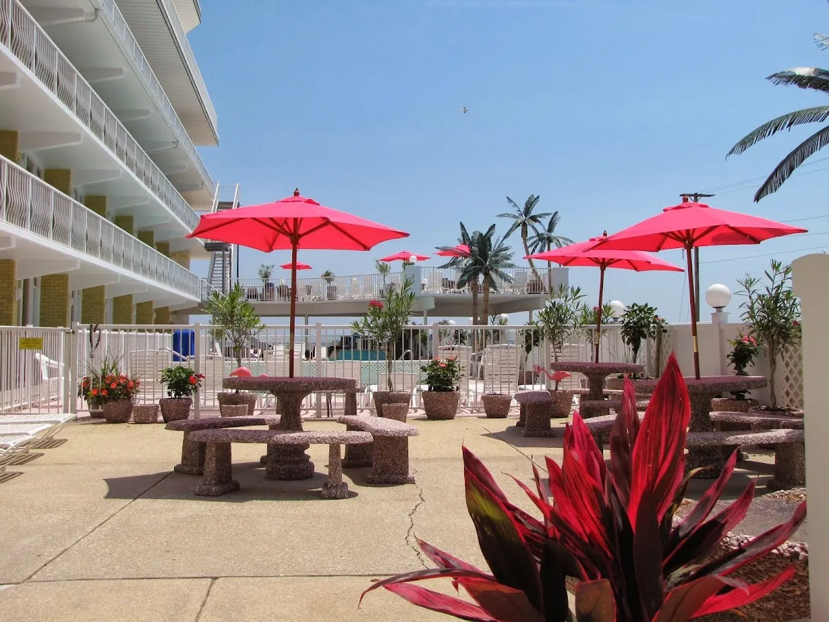 Paradise Ocean Resort photo 4