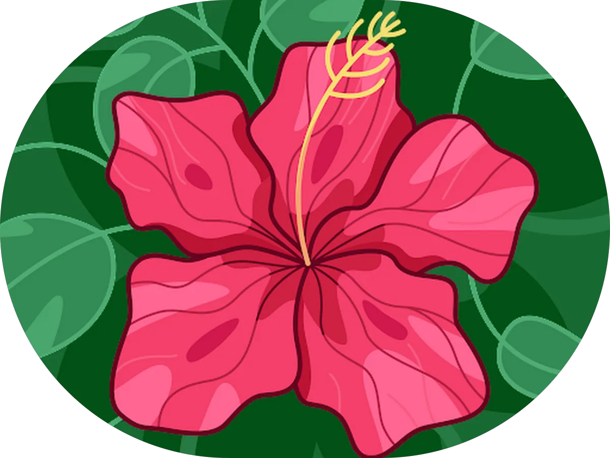 Paramount Medical Health Center photo 5