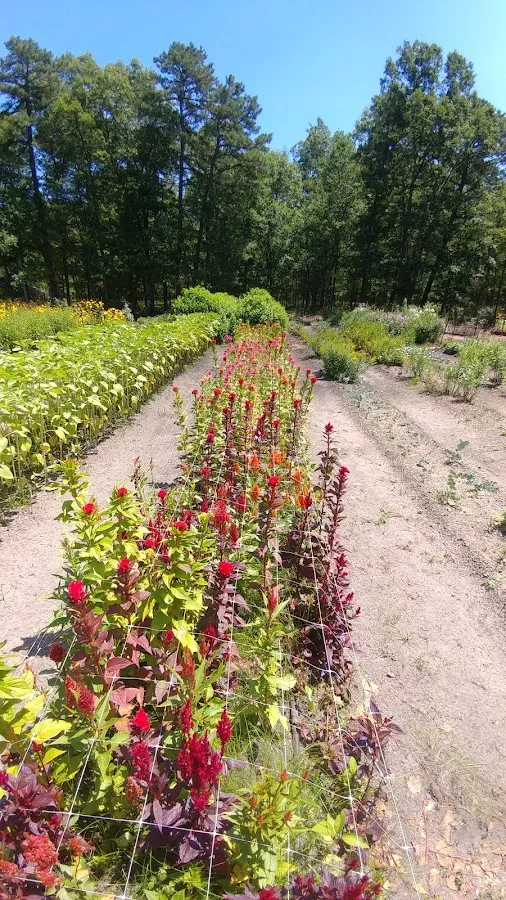 Parkerhouse Flowers photo 2