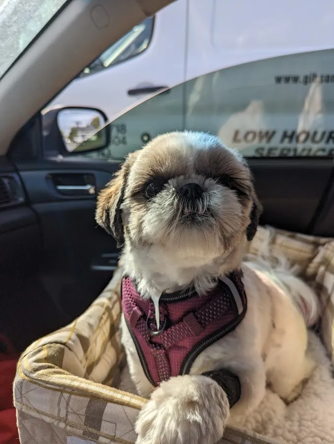 Parkway at the Shore