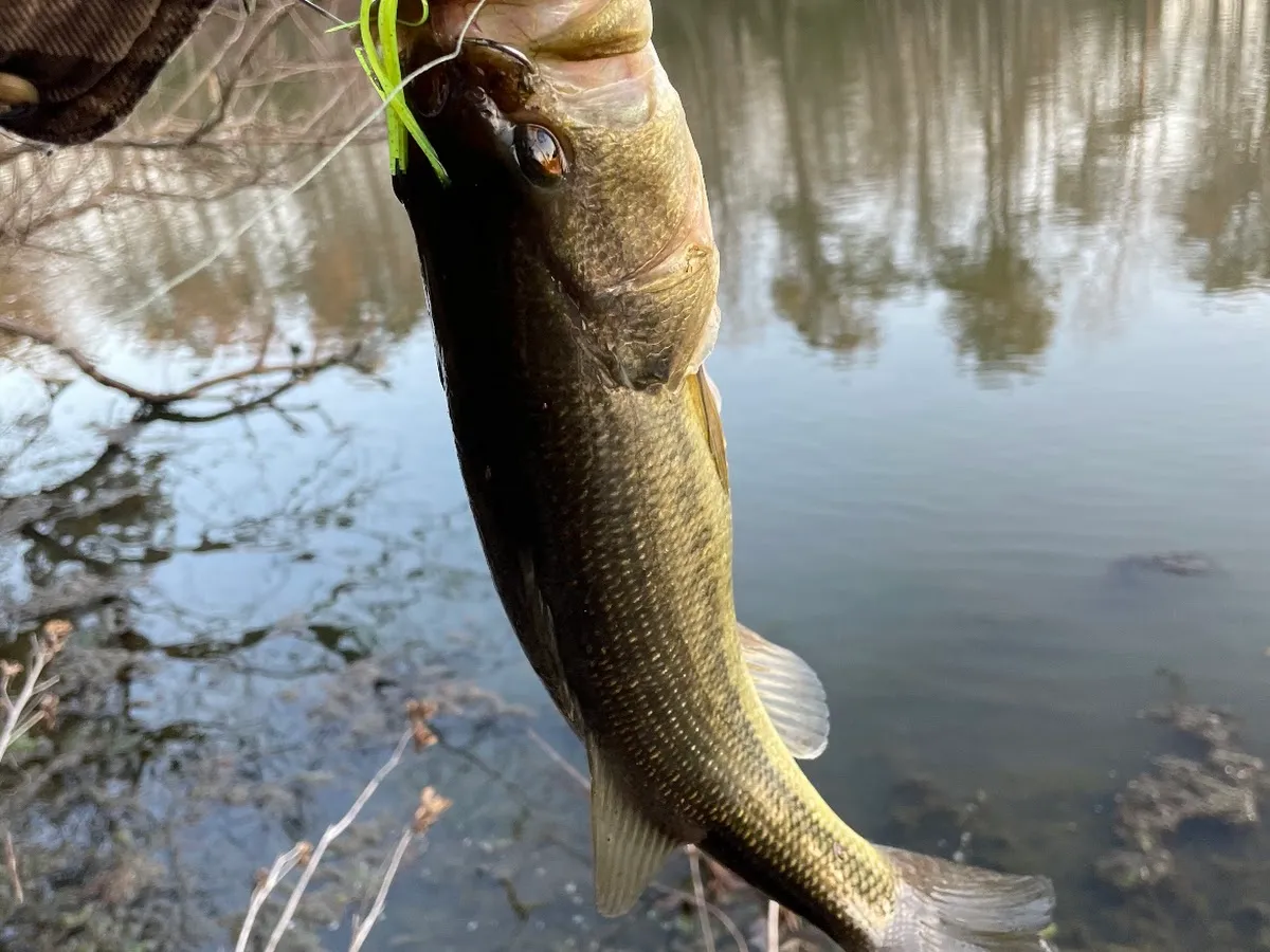 Parvin group camp parking