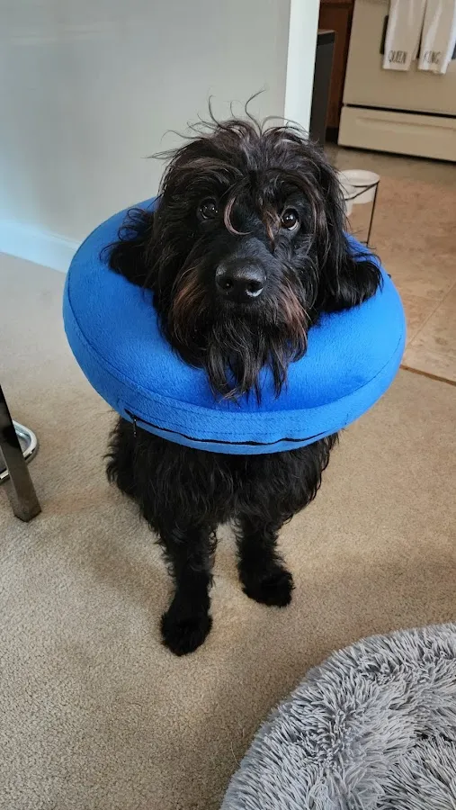 Pathways to Wellness photo 2