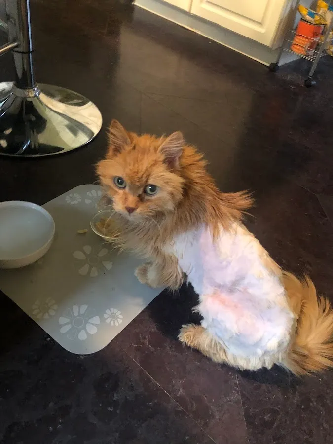 Pathways to Wellness photo 3