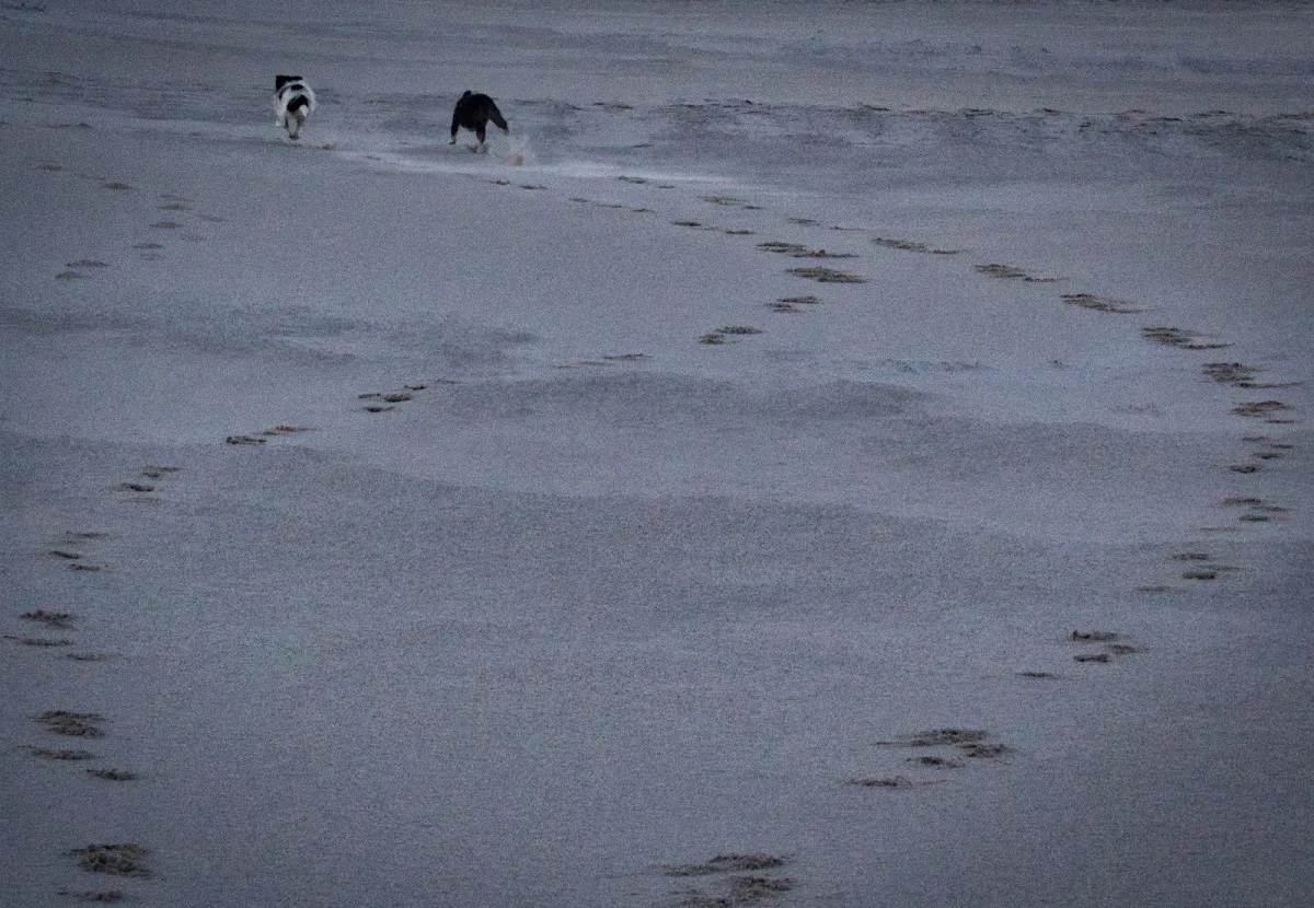 Pathways to Wellness photo 4