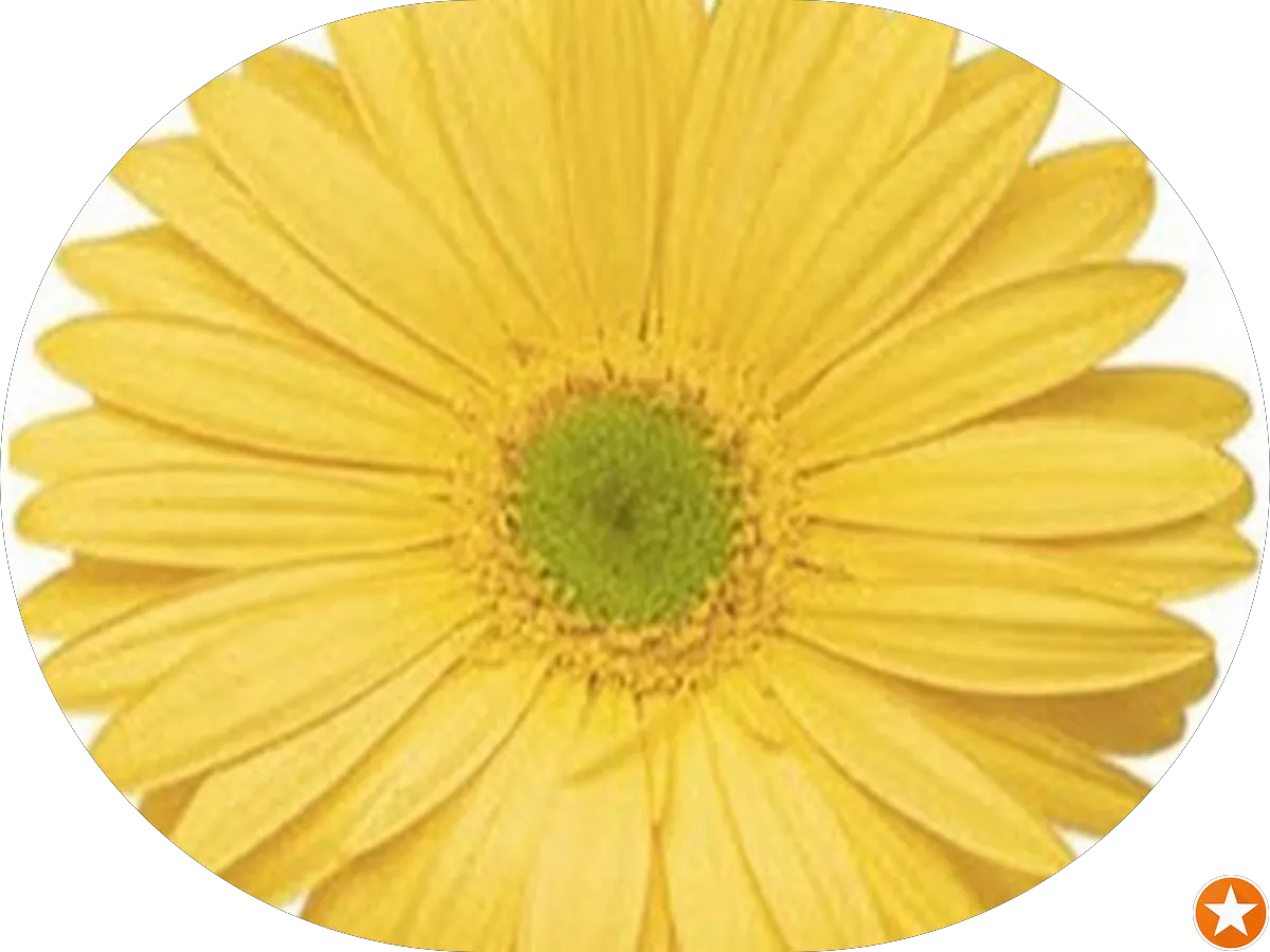 Pathways to Wellness photo 5