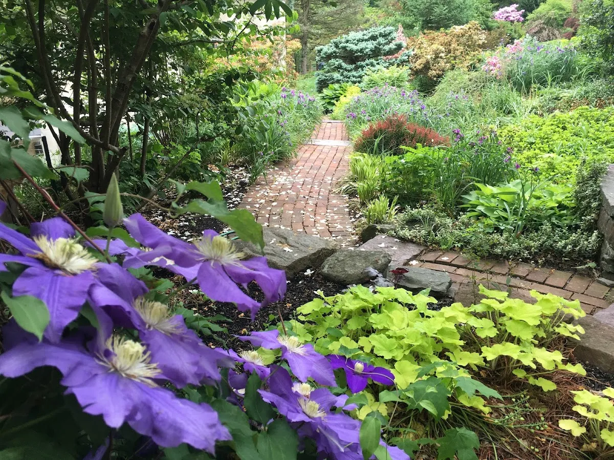 Patino Landscape Group, Llc.