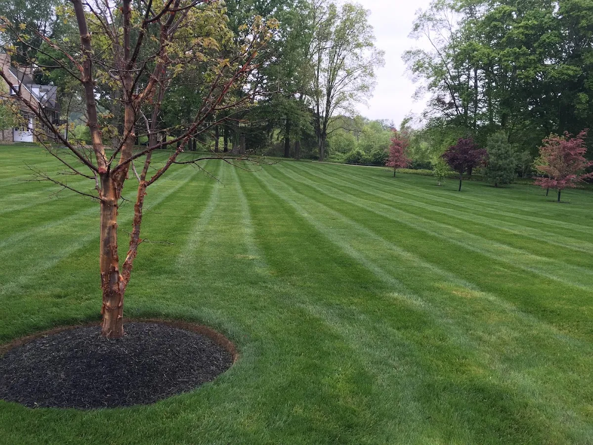 Patino Landscape Group, Llc. photo 3