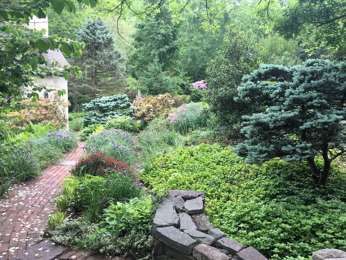 Patino Landscape Group, Llc. photo 4