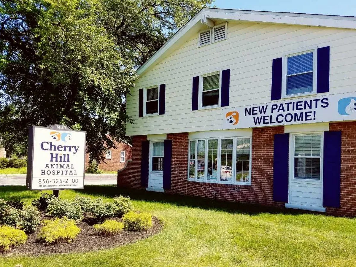 Patricia Fisher VMD photo 5