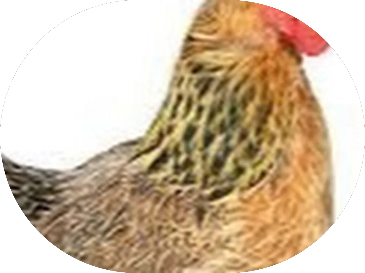 Paul Tursi, Realtor, RE/MAX ONE Realty photo 4