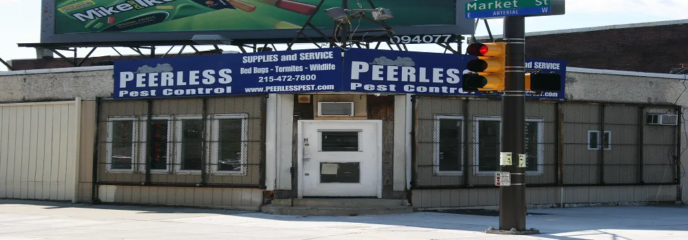 Peerless Pest Control photo 2