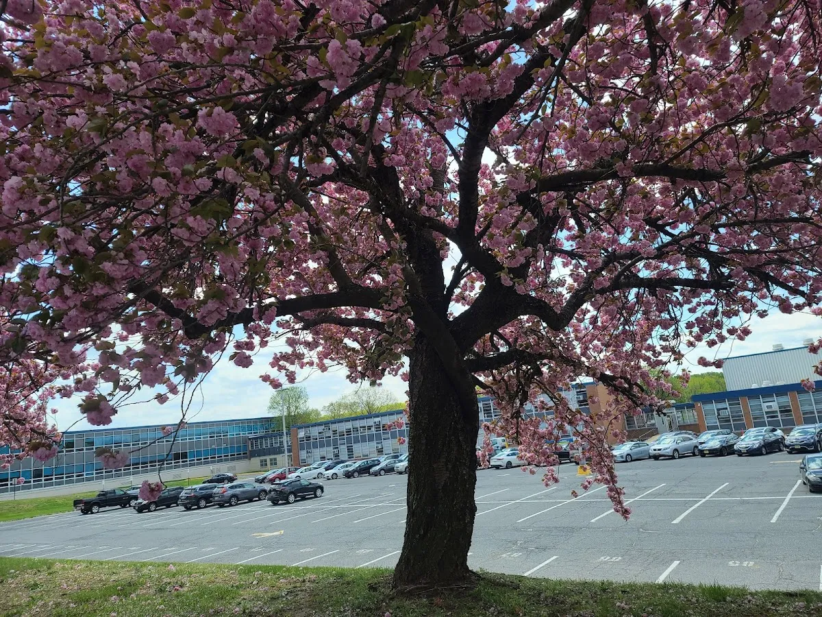 Penn Medicine Cherry Hill - Parking Garage photo 4