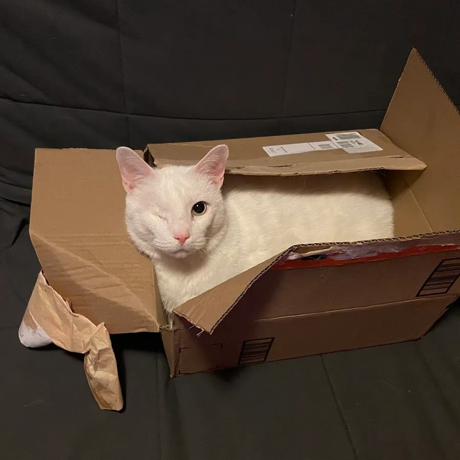 Pennpet Clinic photo 3