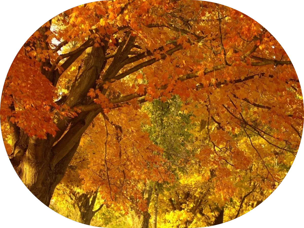 Pennsville Community Hardware photo 3