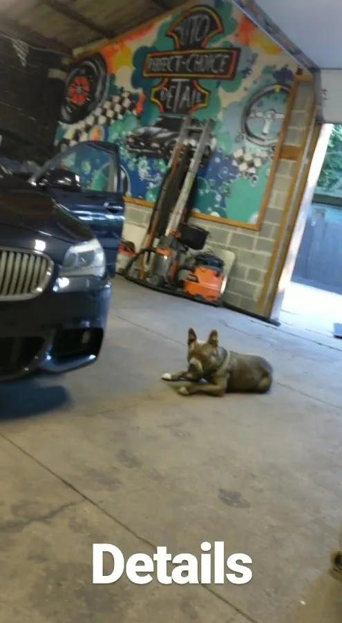 Perfect Choice Auto photo 3