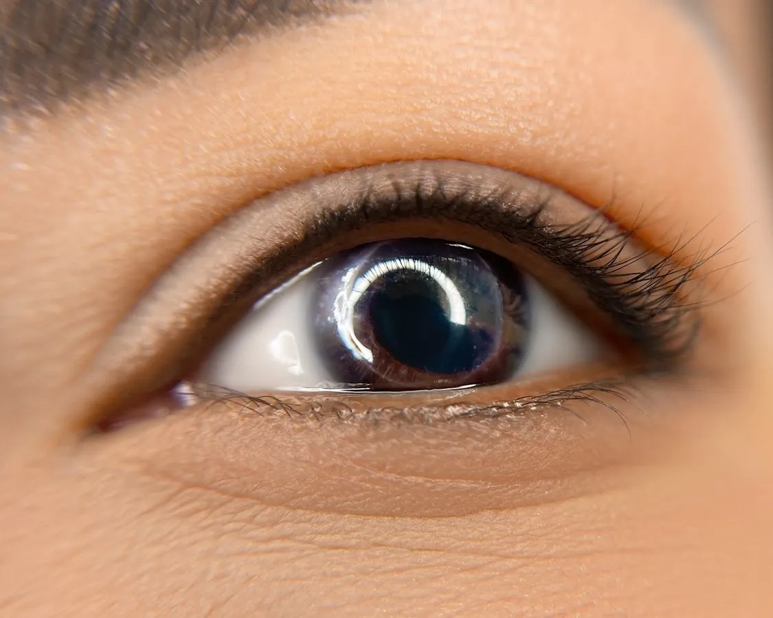 Permanent Makeup by Dreamline Ink