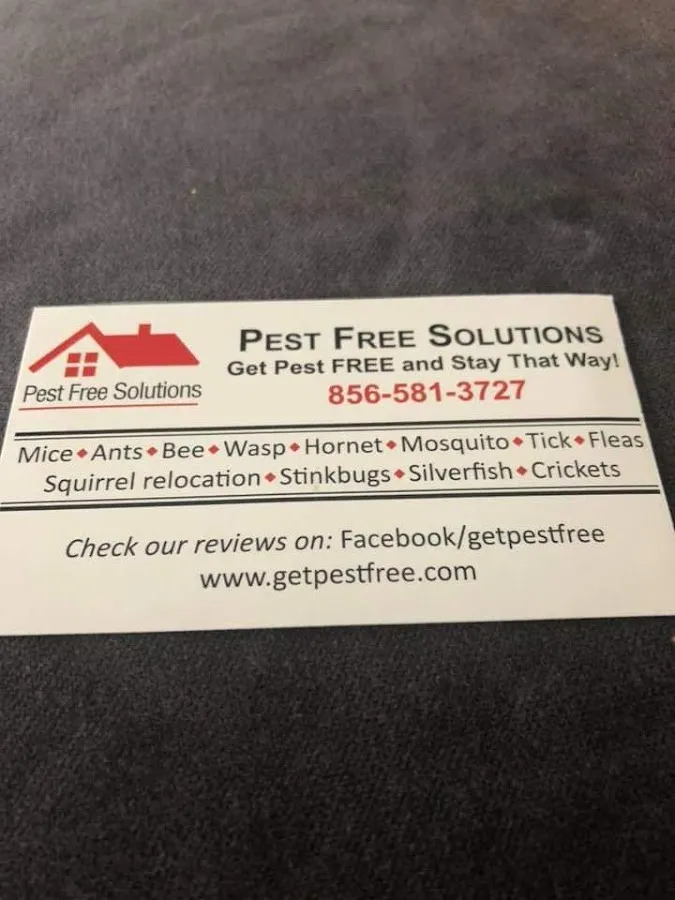 Pest Free Solutions