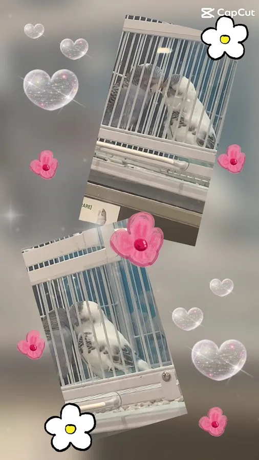 Pet Supplies Plus Bensalem photo 3