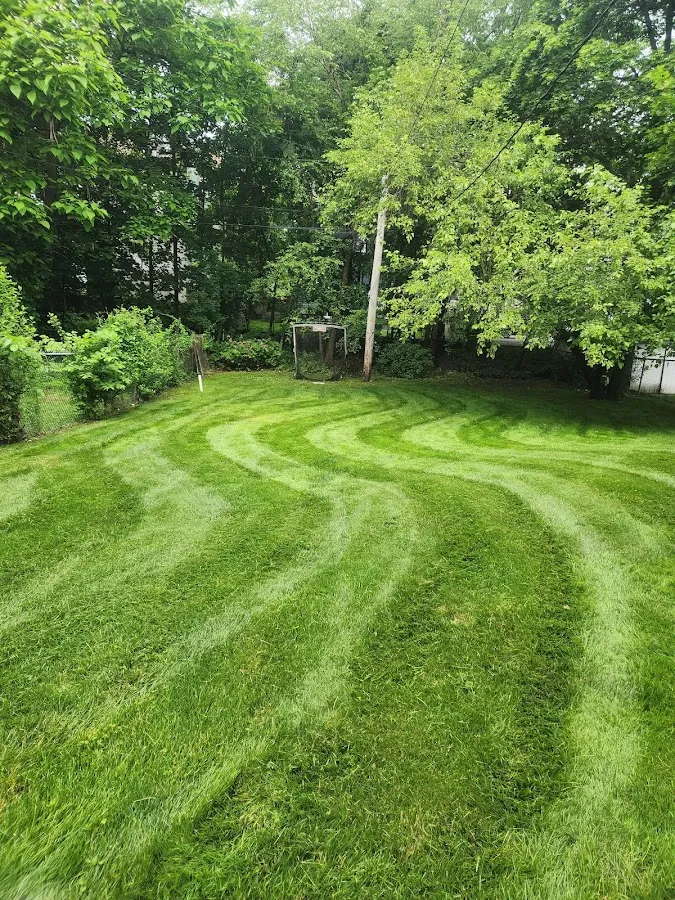 Petrucci Landscaping photo 2