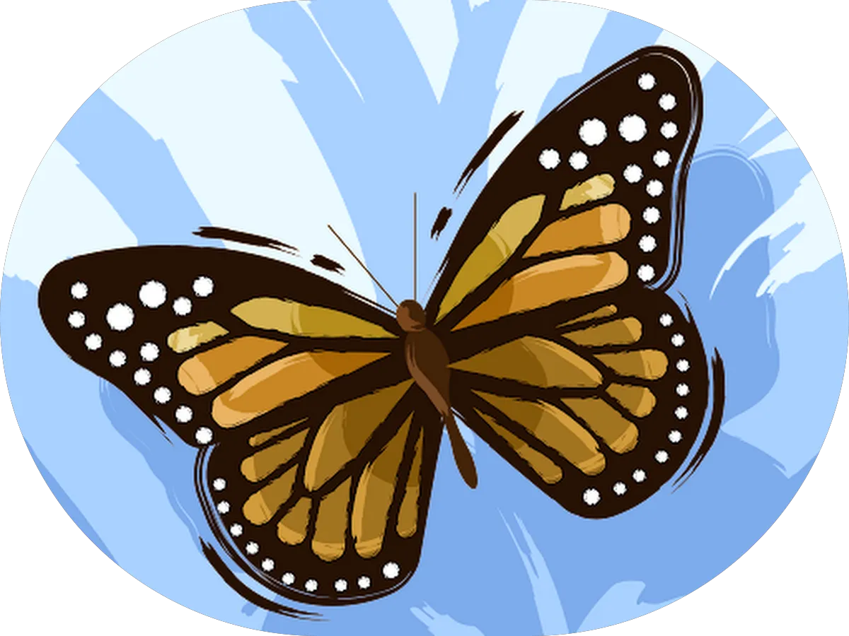 Petrucci Landscaping photo 3