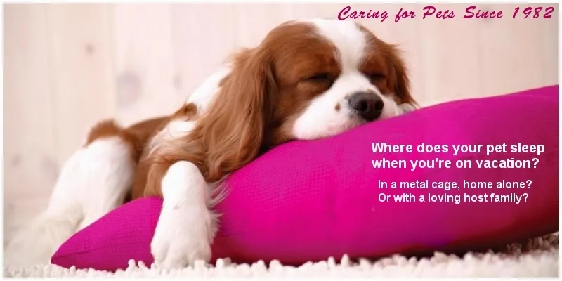 Pets Are Inn South Jersey