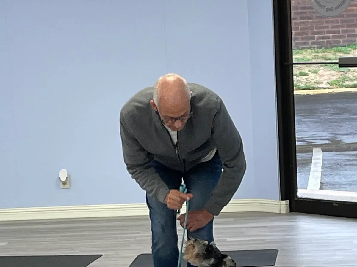 PetSmart Dog Training photo 4