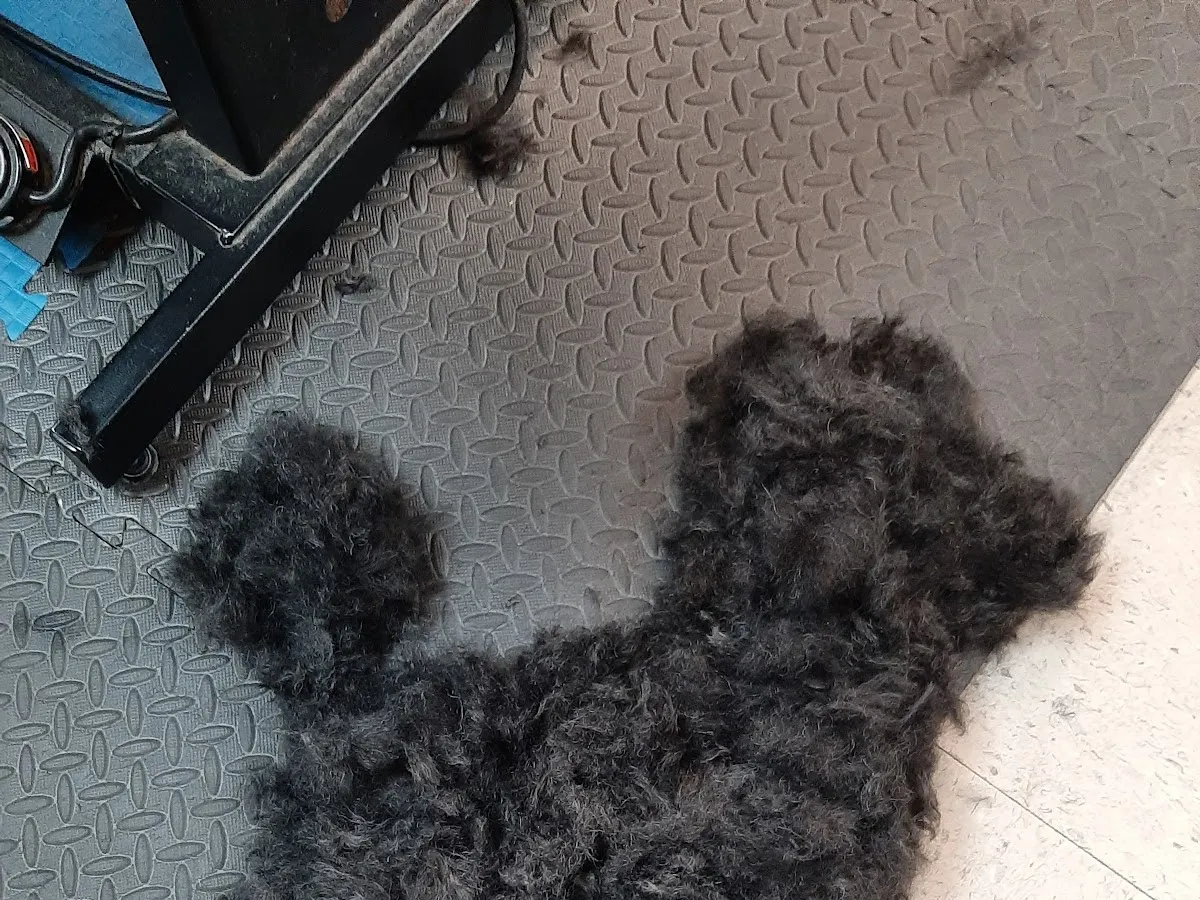 PetSmart Grooming photo 4