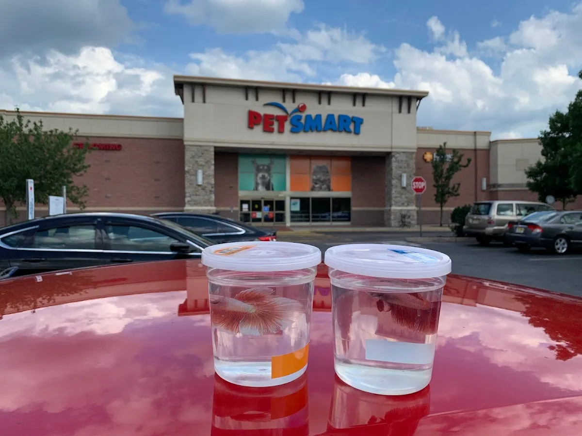 PetSmart Grooming photo 4