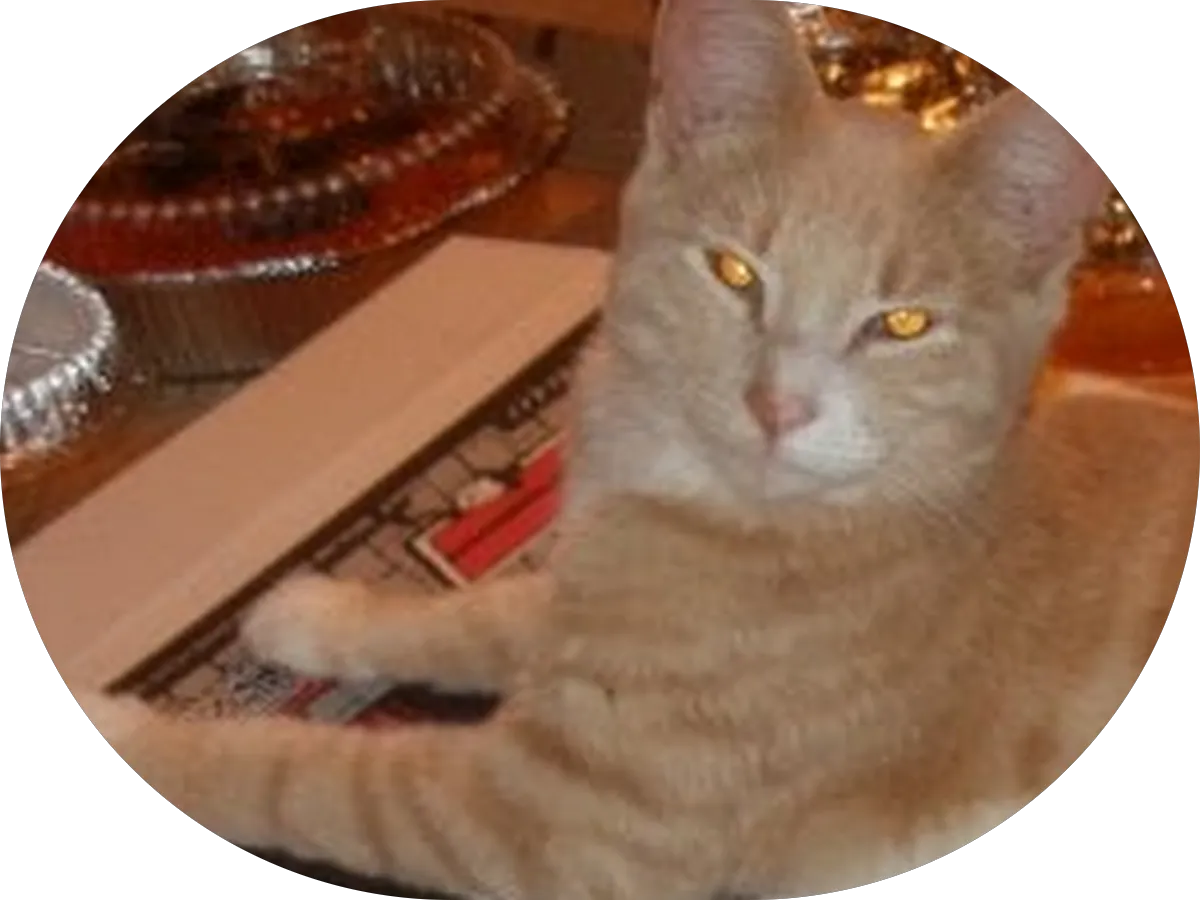 PetSmart Grooming photo 2